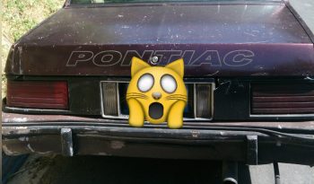 Usados: Pontiac Vibe 1982 en San Salvador full