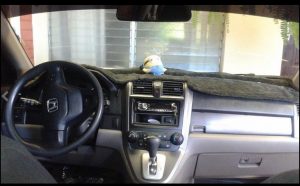 Honda Cr-V 2008 ubicado en La Libertad VENDO MI HONDA CRV 2008 MOTOR 2400,4x2, *LLANTAS DOS NUEVAS Y OTRAS DOS MAS O MENOS, *ELCTRICO,*STREO PIONNER,*POLARISADO,*BURBUJAS , *DEFENSA DELANTERA,MANTTO AL DIA Y * REPUESTOS DE AGENCIA,*AIRE AL 100% , **camara y *sensores de retroceso a color **,55,000 MILLAS,*L