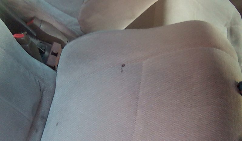 Usados: Mazda Protege 1998 en El Salvador full